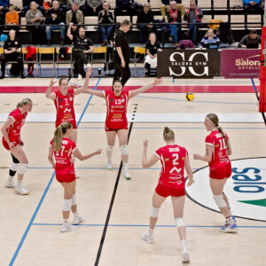 LP Viesti uudella seitsikolla voittoon